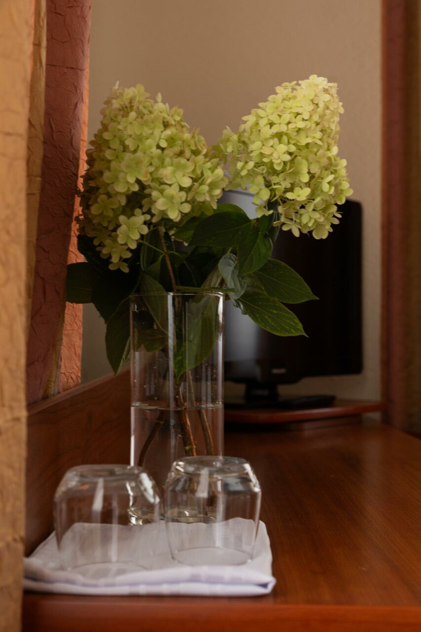 Гостиница 40-й Меридиан Коломна