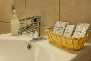 Гостиница 40-й Меридиан Коломна Одноместный номер-3